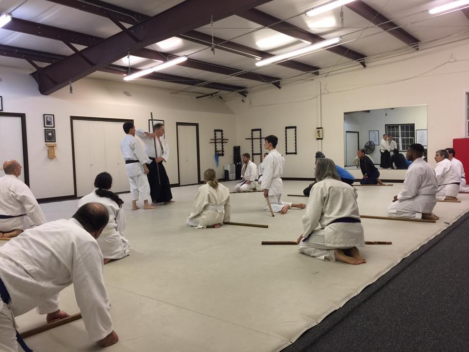 AIkido Class